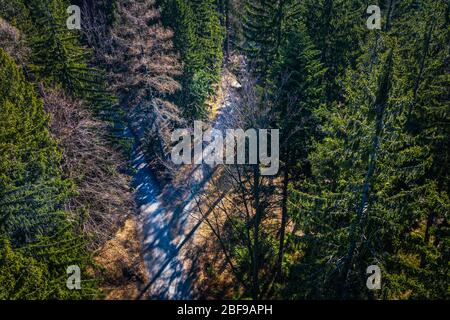Aerial view - Road in tree and field area. Table mountains. Beautiful color - spring.