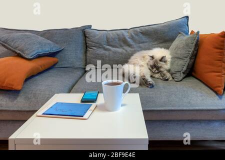 Work at home concept design Stock Photo