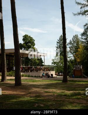 Wendover Woods Visitors Centre cafe / restaurant terrace through the trees. Wendover Woods Visitor Centre, Aylesbury, United Kingdom. Architect: Re-Fo Stock Photo