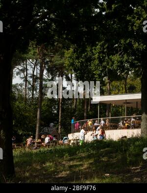 Wendover Woods Visitors Centre through the trees. Wendover Woods Visitor Centre, Aylesbury, United Kingdom. Architect: Re-Format, 2018. Stock Photo