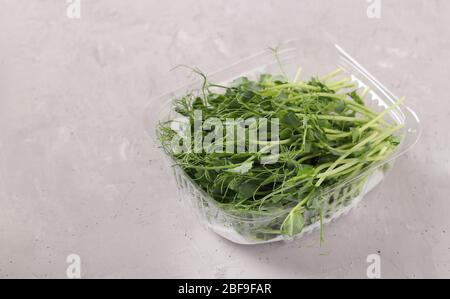 Peas microgreen is located in a plastic container on a gray background, Closeup, Space for text Stock Photo