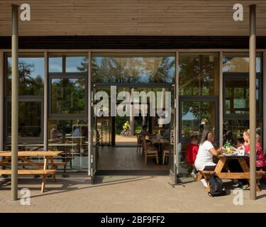 Wendover Woods Visitors Centre view through the cafe / restaurant. Wendover Woods Visitor Centre, Aylesbury, United Kingdom. Architect: Re-Format, 201 Stock Photo