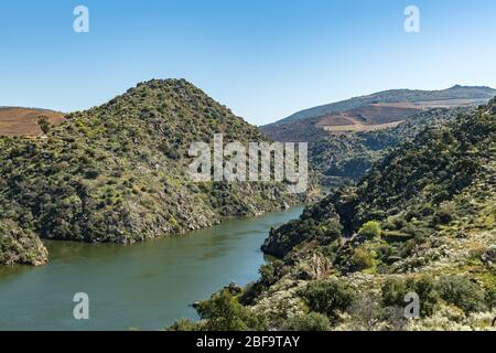 Viewpoint of Arnozelo allows to see a vast landscape on the Douro and its man-made slopes. Douro Region, famous Port Wine Region, Portugal. Stock Photo