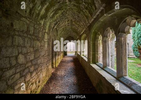 Inside cloister walk Old Augustinian Friary East of Adare, Ireland with windows to courtyard on right Gortaganniv, Gortaganniff, Co. Clare Stock Photo
