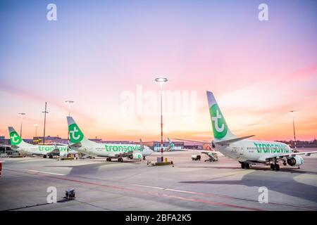 Rotterdam, Netherlands. 17th Apr, 2020. ROTTERDAM, 15-04-2020, Six Transavia airplanes are grounded because of the Coronavirus at Rotterdam-The Hague Airport. Zes Transavia toestellen staan al weken aan de grond vanwege de corona maatregelen. Credit: Pro Shots/Alamy Live News Stock Photo