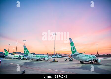 Rotterdam, Netherlands. 17th Apr, 2020. ROTTERDAM, 15-04-2020, Six Transavia airplanes are grounded because of the Coronavirus at Rotterdam-The Hague Airport. Zes Transavia toestellen staan al weken aan de grond vanwege de corona maatregelen. Credit: Pro Shots/Alamy Live News Stock Photo