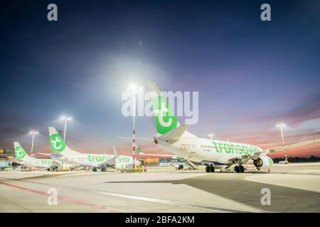 Rotterdam, Netherlands. 17th Apr, 2020. ROTTERDAM, 15-04-2020, Six Transavia airplanes are grounded because of the Coronavirus at Rotterdam-The Hague Airport. Zes Transavia toestellen staan al weken aan de grond vanwege de corona maatregelen. Credit: Pro Shots/Alamy Live News Stock Photo