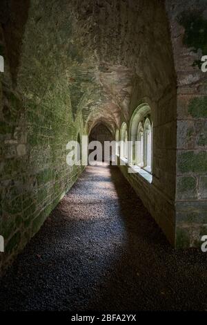 Inside cloister walk Old Augustinian Friary East of Adare, Ireland with windows to courtyard on right Stock Photo