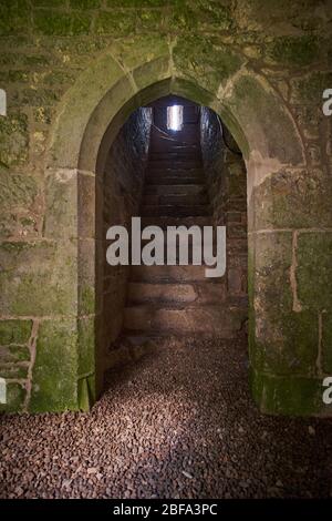 Inside cloister walk Old Augustinian Friary East of Adare, Ireland Stock Photo