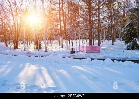 Park bench in winter against the background of the evening sunset Stock Photo
