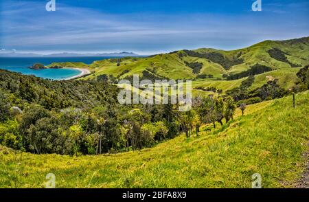 Moehau Range hills, Port Jackson area on left,  Great Barrier Island in distance, Coromandel Peninsula, Waikato Region, North Island, New Zealand Stock Photo
