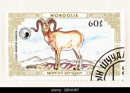 SEATTLE WASHINGTON - April 15, 2020: Close up Mongolia postage stamp with big horn sheep on mountainous background. Stock Photo