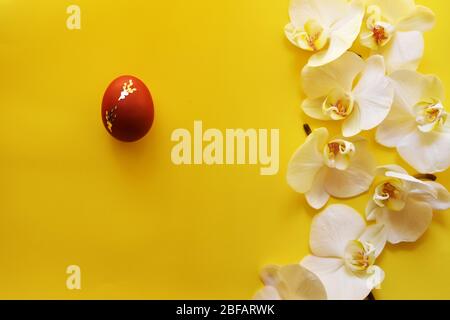 Easter red egg and orchid flowers on a yellow minimalist background. Stock Photo