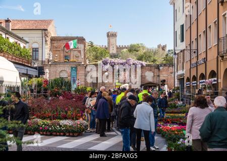 Blumenfest in Este, Provinz Padua, Venetien, Italien, Europa Stock Photo