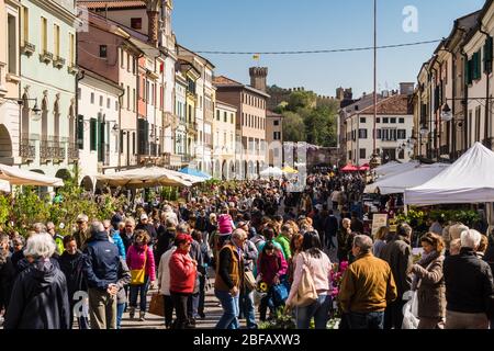 Blumenfest in Este, Provinz Padua, Venetien, Italien, Europa Stock Photo