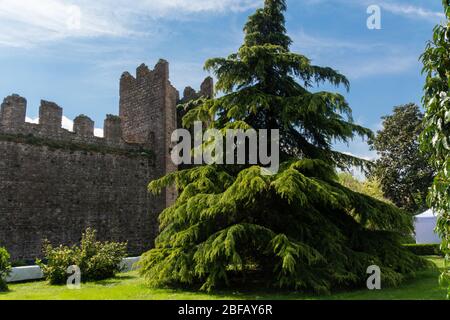 Blumenfest in Este, Provinz Padua, Venetien, Italien, Europa Stock Photo