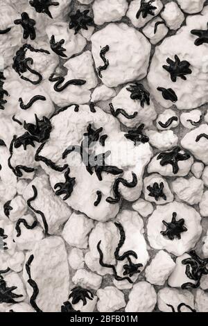 Background formed by white rocks with black elements in the shape of small insects and animals. Stock Photo