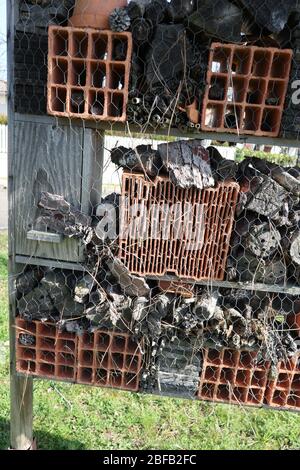 Structure designed to favor the nesting of pollinating insects Hotel Insect shelter in garden plants Stock Photo