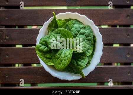 Balcony gardening, green spinach on brown wooden chair Stock Photo