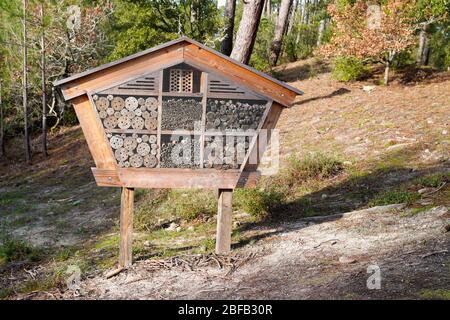 Wooden insect house decorative bug hotel ladybird bee home house garden for butterfly hibernation for ecological gardening Stock Photo