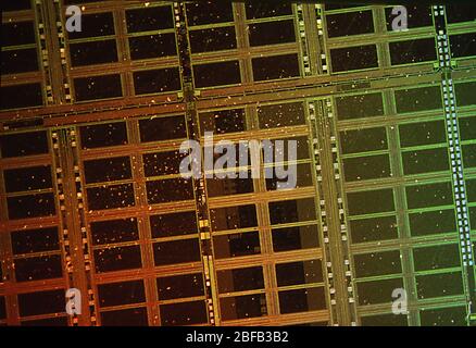 Circuit board for microchips under the microscope Stock Photo