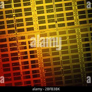 Circuit board for microchips under the microscope Stock Photo