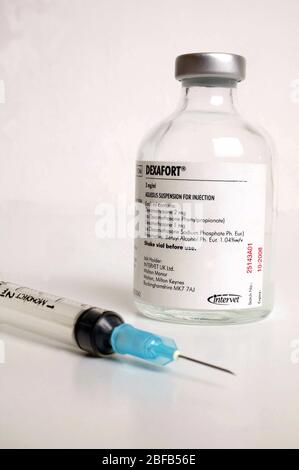 Dexafort aqueos suspension for injection Stock Photo - Alamy