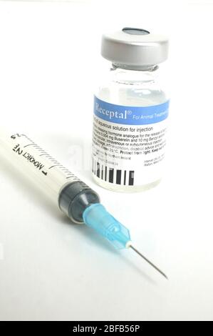 Receptal. 10ml of aqueous solution for injection Stock Photo - Alamy