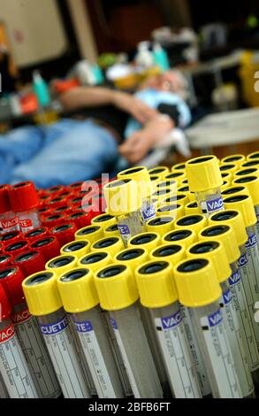 A rack of blood samples in Vacutainer test tubes Stock Photo