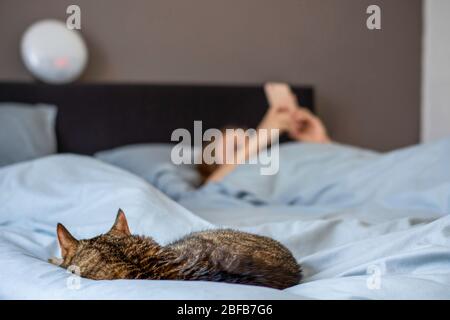 Woman sleeping in bed with her cat. Owner with her pet. Woman looking on her smartphone Stock Photo