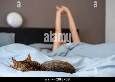 Woman sleeping in bed with her cat. Owner with her pet. Woman stretching. Stock Photo
