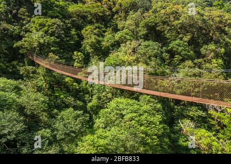 old hanging bridge in the jungle of Panama Stock Photo