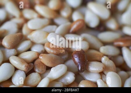 Extremely close-up food background sesame seeds of varying degrees of roasting, selective focus Stock Photo