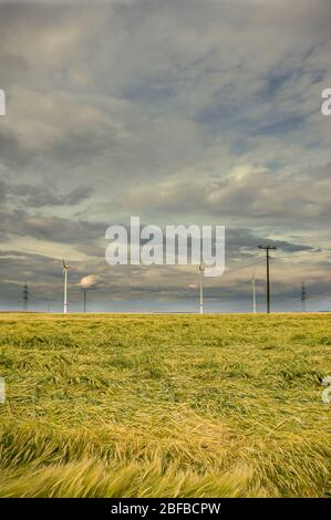 Dramatic cloud sky over cornfield with dark rain clouds and power lines and wind turbines Stock Photo