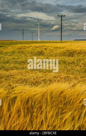 Dramatic cloud sky over cornfield with dark rain clouds and power lines and wind turbines Stock Photo