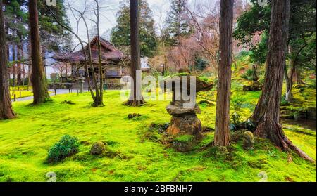 Evergreen traditional japanese garden with natural behive on moss covered green lawn under pine trees around historic temple in Ohara village near Kyo Stock Photo