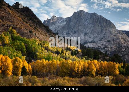Dusting of snow on the Eastern Sierra Mountains add to the beauty of autumn changing aspen trees along California’s June Lake Loop in Mono County. Stock Photo