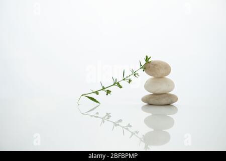 white three stack stone with green plant still life in zen wellness health spiritual concept Stock Photo