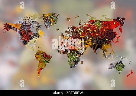 World map of different aromatic spices on white background. Creative collection Stock Photo