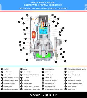 Piston petrol engine, structural cross section in basic design for education Stock Vector