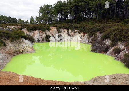 A bright green pool called Devil's Bath, colored by volcanic minerals at the Wai-O-Tapu Thermal Wonderland in New Zealand, February 2020 Stock Photo