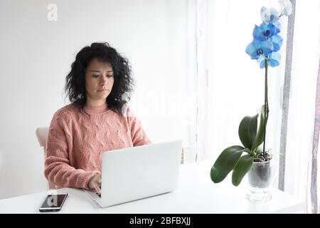 Woman works from home with the computer Stock Photo