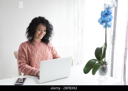 Woman works from home with the computer Stock Photo