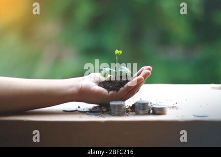 Growing Money | Business Growing. Man Holding Coin | Plant On Coins |  Finance And Investment | Profit and income Stock Photo