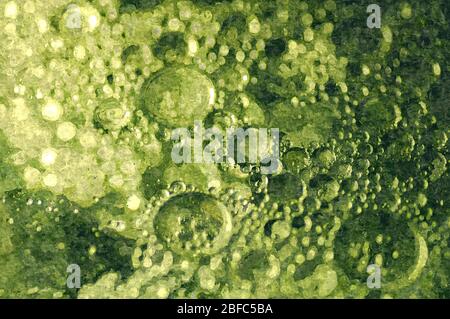 abstract background of oil paints in green colors from photo bubbles Stock Photo