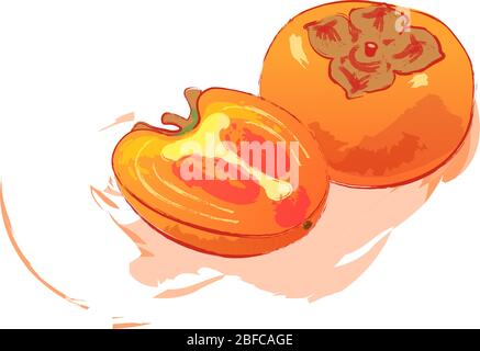 Persimmons watercolor style illustration with splash isolated on white background. Whole and half orange fruits vector greeting card design. Hand drawing Exotic food clip art. Kaki Japanese fruit. Stock Vector