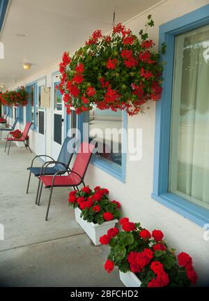 Red Geraniums in White Planters on Front Porch of Montana Motel Room with Matching Red and Blue Chairs as outdoor patio Decor  set up outdoors Stock Photo