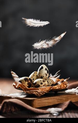 Feathers falling on a bowl with quail eggs Stock Photo