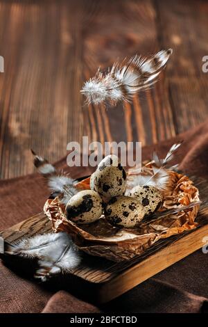 Feathers falling on a bowl with quail eggs Stock Photo