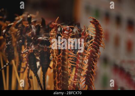 Fried centipedes and scorpions, exotic and traditional street food that shows the culture and cuisine of Thailand Stock Photo